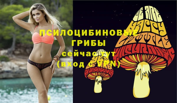 ECSTASY Пролетарск