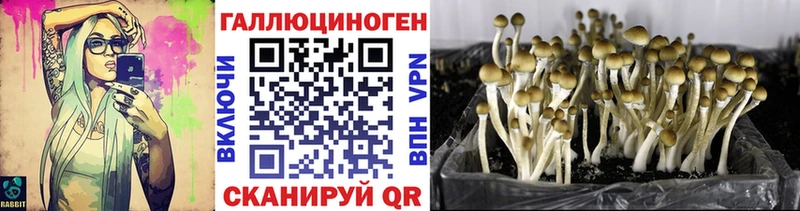 Галлюциногенные грибы мухоморы  что такое   Истра 