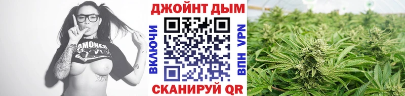 Канабис AK-47  купить закладку  Истра 